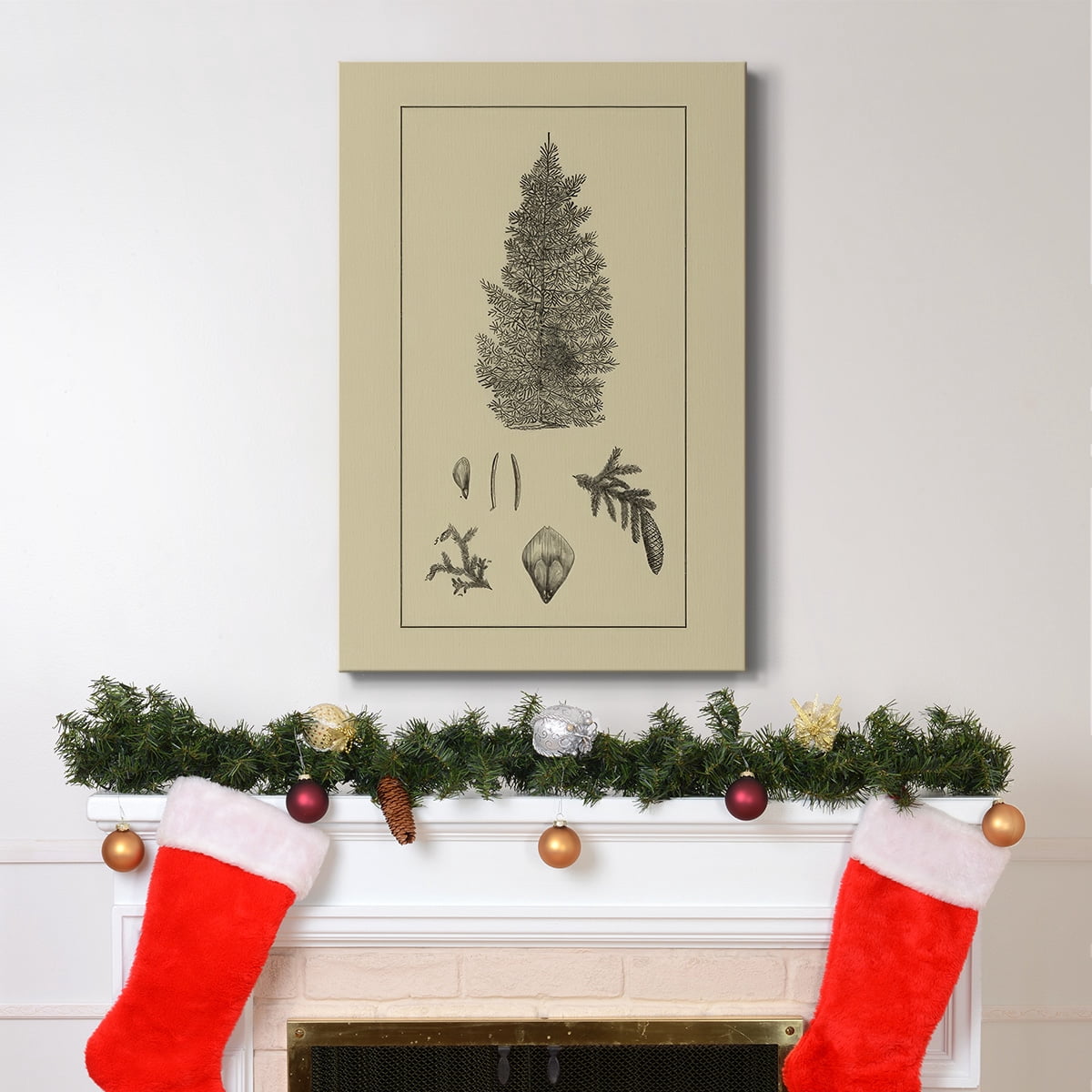 Arbor Study I- Gallery Wrapped Canvas