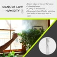 thumbnail image 3 of MEJORA LA SALUD DE LAS PLANTAS:, 3 of 5