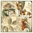 thumbnail image 3 of Vision Studio 20x20 Black Modern Framed Museum Art Print Titled - Botanical Quadrant IV, 3 of 5