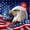 Red, variant on Manfei Eagle Usa Flag Kitchen Curtains,July 4Th Fireworks Black Out Curtains Pack of 2 (42x63 Each),Brown Red Blue