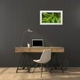 thumbnail image 3 of Crane, Rita 24x15 White Modern Wood Framed Museum Art Print Titled - Bamboo Leaves II, 3 of 4