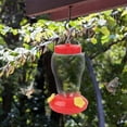thumbnail image 2 of Feeding Ports Feeding Container Hanging for Patio Yellow Flower, 2 of 7