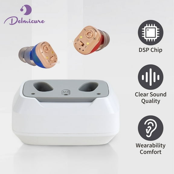 Delmicure Hearing Aids HH-1631 Premium Rechargeable Hearing Aids for Hearing Loss with Charging Dock for Seniors (Knob-Controlled)
