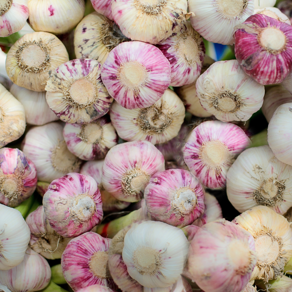 4 Mix Garlic Bulbs, Garlic Bulbs Easy to Plant, Garlic Bulbs for Planting Outdoors