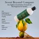 thumbnail image 4 of Detergente para ropa The Laundress Fresh Take 15 cargas, 4 of 9
