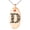Rose, variant on Stainless Steel Letter D Initial Dotted Monogram Engraved Small Oval Charm Pendant Necklace