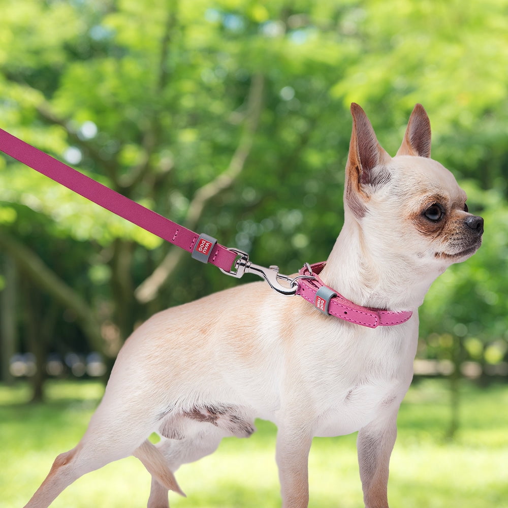 WAUDOG Classic Design Leather Dog Leash for Puppy Small Medium and Large Dogs - Boy & Girl Leather Dog Collar | Special Design Leather Leash for Training & Walking Cute Small Medium Large Dog - Purple