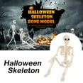 Large Poseable Full Life Size Human Skeleton Prop Halloween Home Party