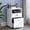 White, variant on Tribesigns 2 Drawer Mobile File Cabinet with Lock, Wood Rustic Filing Cabinet for Letter Size, Printer Stand with Rolling Wheels and Open Storage Shelf for Home Office (Brown)