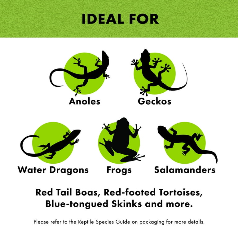 サルページ 258787_1.jpg