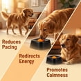thumbnail image 3 of Slow Feeder Dog Bowl for Bone Broth & Yogurt with Rolling Ball, Non-Slip Enrichment, 3 of 6