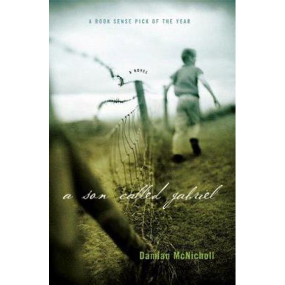 Pre-Owned A Son Called Gabriel (Paperback) 1593152310 9781593152314