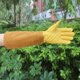 thumbnail image 5 of De Guantes De Apicultor De Cuero De Guantes Extra De Apicultura Puños Elásticos Mangas ctoras Suministros De Apicultu METRO Baoblaze Guantes de piel de cabra, 5 of 8