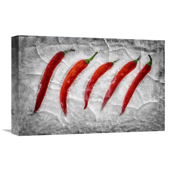 Global Gallery Secundino Losada,'Frozen Fire' Stretched Canvas Artwork
