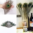 thumbnail image 3 of Farfi 10Pcs Peacock Feathers Attractive DIY Creation Natural Peacock Eye Tail Feather for Party (See description), 3 of 9