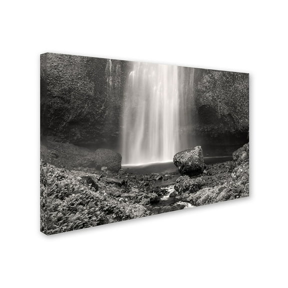 Trademark Fine Art "Multnomah BW" Canvas Art by Pierre Leclerc
