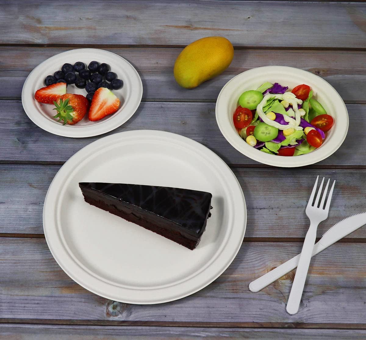 6 inch Compostable Dessert Plates, Heavyduty Sugarcane/Bagasse and Bamboo Fibre Biodegradable Disposable Paper Plate