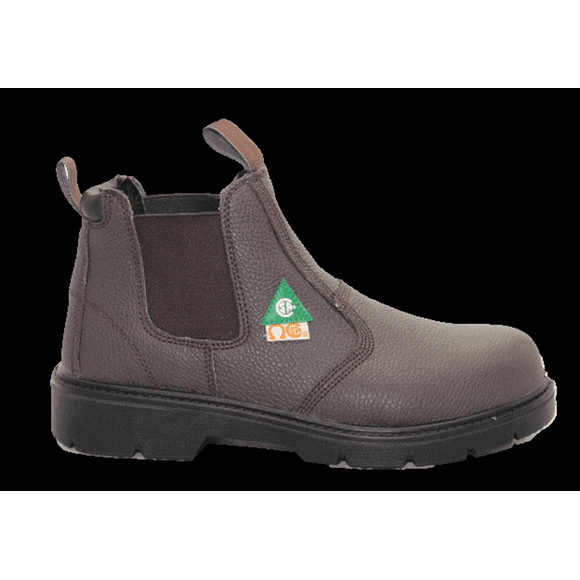 CSA approved, Unisex, Leather, Dual Standard Dolphin Safety Shoes, Work Boots, Construction Boots