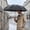Black_Base#284, variant on Automatic Folding Umbrella with One Button Open and Close, Wind Resistant for Sun and Rain Protection