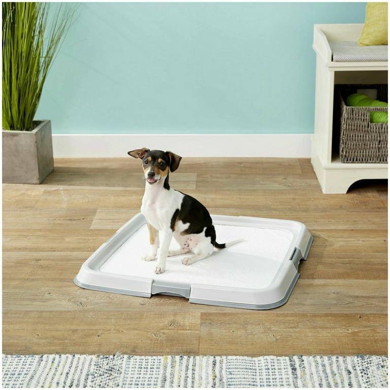 Dogit clean 2025 training pad holder