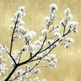 thumbnail image 2 of Bennett, Kate 26x26 White Modern Wood Framed Museum Art Print Titled - Blossoms on Gold II, 2 of 4