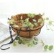 thumbnail image 5 of Toystoory Cesta colgante de metal, maceta con revestimiento de fibra de coco para balcón interior, jardín Jardín y Patio Numero 3 Toystoory HA025959-03, 5 of 6