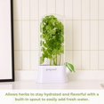 thumbnail image 2 of Prepara Herb Savor Eco Preservador de hierbas, verde, 2 of 4