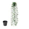thumbnail image 5 of Hanging Artificial Pothos with Pot, Faux Trailing Green Vine Plant for Indoor Wall Shelf Home Decor, 5 of 6