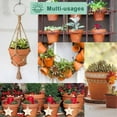 thumbnail image 3 of 6 Inch Terracotta Clay Pots  with Saucer - 4 Pack Medium Terra Cotta Planter with Drainage Hole, Flowerpot Indoor Outdoor , Crafts, Wedding Favor, Clay Pots For , Small Clay Pots, Clay  Pots,, 3 of 7