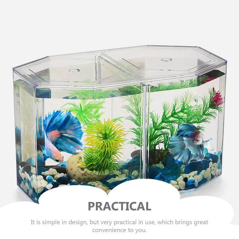 Betta breeding supplies hotsell