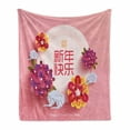thumbnail image 1 of Chinese New Year Soft Flannel Fleece Blanket, Pale Pink Circle with Lively Flower Bouquets Prosperous Year Celebration, Cozy Plush for Indoor and Outdoor Use, 60" x 80", Multicolor, by Ambesonne, 1 of 6