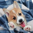 thumbnail image 4 of Plaid Soft Plush Fleece Blanket for Sofa Couch Bed, 30" x 40", Blue and White, 4 of 8