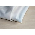 thumbnail image 3 of RYLABLUE Couverture pour Chat en Polaire pour Canapé Ou Lit 58x80 Pouces, 3 of 3