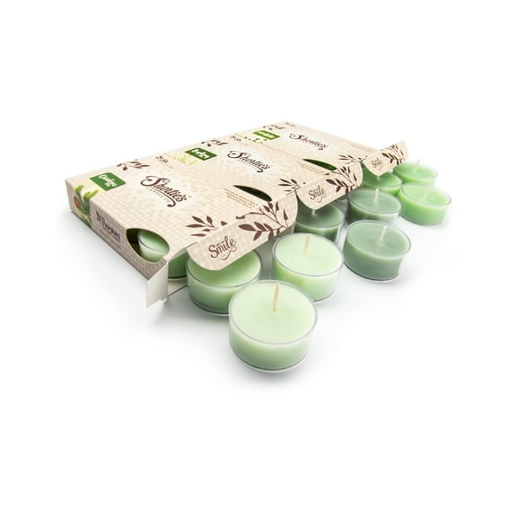 Pine Tealight Candles Variety 3 Pack - 18 Premium Scented Tea Lights - Bayberry Fir, Christmas Tree, Mistletoe Moments - Shortie's Candle Company