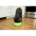 thumbnail image 3 of Iconic Pet Color Splash Stripe Non-Skid Pet Bowl, 24 Oz, Green, 3 of 11