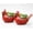 CC2-2PCS, variant on Cardinal Bird Succulent Planter – Red Resin Cardinal Outdoor Decor Planter – Decorative Animal Flower Pot for Garden, Patio, Balcony – Gift for Bird Lovers (1PC)