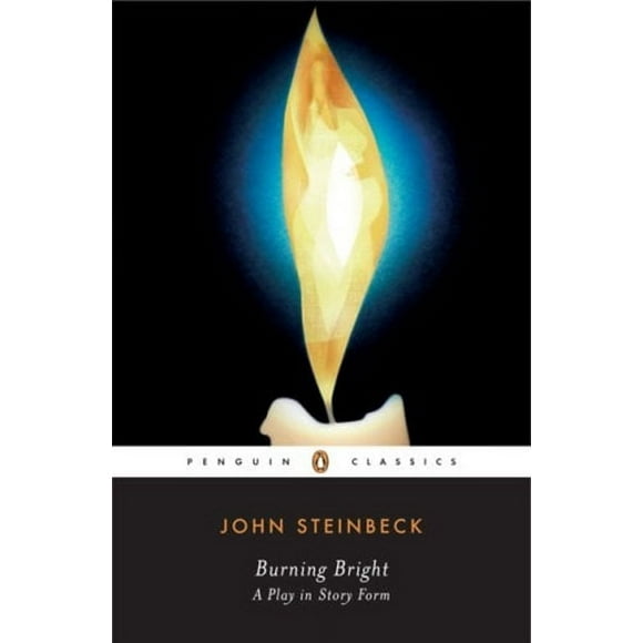 Pre-Owned Burning Bright : A Play in Story Form (Paperback) 9780143039440