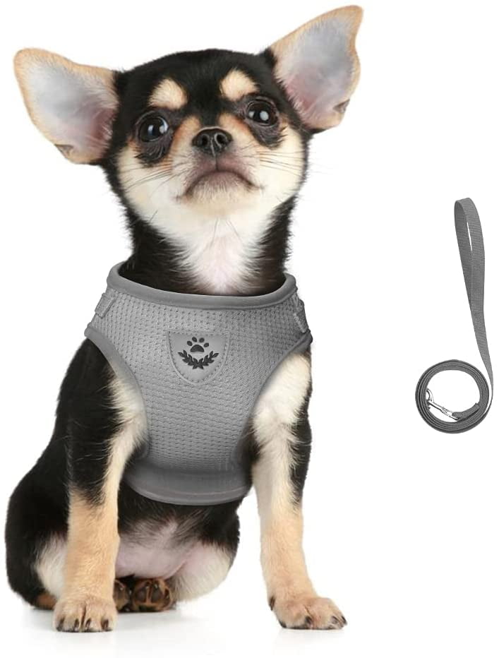 SMALLLEE_LUCKY_STORE Soft Mesh Refective Cat Harness and Leash Set Escape Proof Adjustable No Pull Choke Safe Walking Jacket Boy Girl Small Puppies Kitten Dog Haness Vest,Black Large 