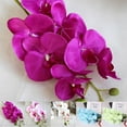 thumbnail image 3 of Seda Artificial Phalaenopsis Orquídea Flor Tallo Ramo Fiesta Hogar Jardín Decoración GeweYeeli JJ7212-01, 3 of 7