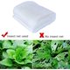 thumbnail image 2 of Garden Netting Against Insects, Protection and Anti-Pests for Garden, for Plants, 2 of 5