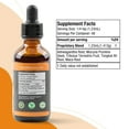 thumbnail image 2 of Rejuvica Health Activated Male Support Liquid Supplement - Ashwagandha, Mucuna, & More!, 2 of 6