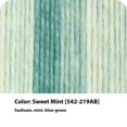 thumbnail image 2 of Hilo reacondicionado Lion Brand Landscapes Renewed, multicolor reciclado para tejer, menta dulce, pa, 2 of 6
