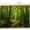 Green, variant on Purple Tree Cabinet Curtains 10" W x 11" L, Sunset Lakeside Path Mountains Water Ripples Under-Desk Privacy Dust Proof Drape Dishwasher Curtain Sink Skirt for Kitchen Closet Bathroom Laundry