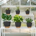 thumbnail image 5 of FIASON 6 Pack Self Watering Plant Pots, Black with Brown Base, 5/5.5/6/6.5/7/8 Inch, with Watering Lip, Drainage Holes & Removable Saucer, for Indoor Outdoor Garden House Plants, 5 of 10