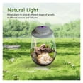 thumbnail image 5 of Desktop Miniature Plant Light with Timer Glass Terrarium Plant Growing Lamp Plant Grow Light for Miniature Gardening Landscape ,Thrive, 5 of 7