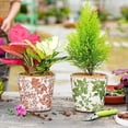 thumbnail image 4 of Vintage Ceramic Planter Set of 3 - Decorative Indoor Outdoor Flower Pots with Drainage Holes - Tuscan Decor Pots 5.5 Ice Crackle Glaze Planters for Home Kitchen Patio and Garden, 4 of 8