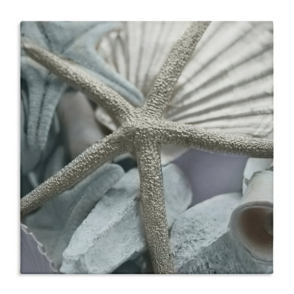 Stupell Industries Seashells & Starfish Nautical & Beach Photography Wrapped Canvas Art Print Wall Art, 17 x 17