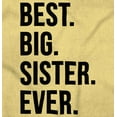 thumbnail image 2 of Best Lil Sister Ever Younger Sibling Youth T Shirt Tee Girls Infant Toddler Brisco Brands 12M, 2 of 5