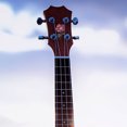 thumbnail image 4 of OUNONA 2Pcs Guitar Decals with Flower Pattern Multi Color Headstock Stickers for Guitar Decoration, 4 of 8
