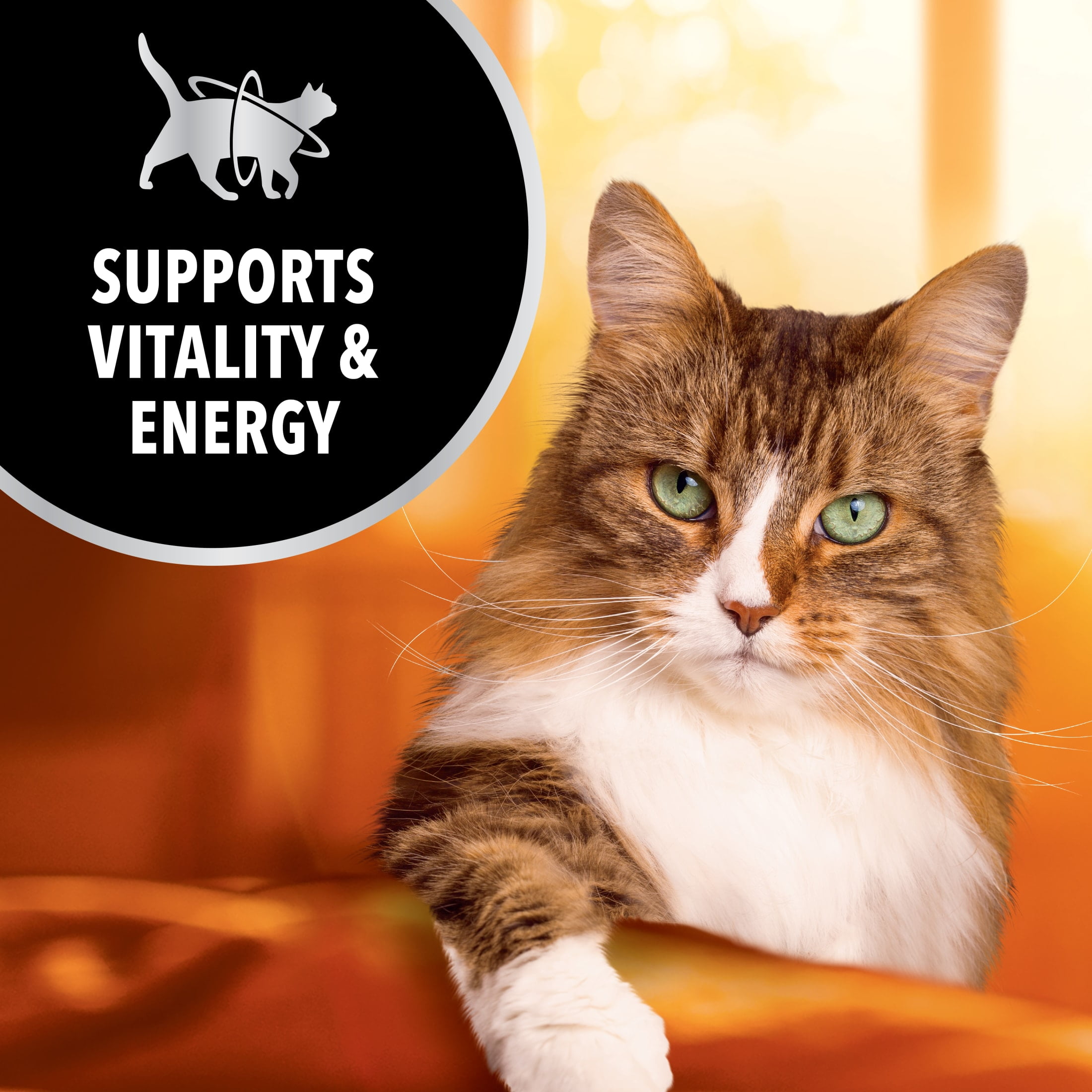 Iams Advanced Health Immune Health Salmon And Chicken Recipe Adult Dry Cat Food, 7 Lb Bag